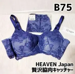 HEAVEN Japan 贅沢脇肉キャッチャー ブラジャー&ショーツ パープルのサムネイル