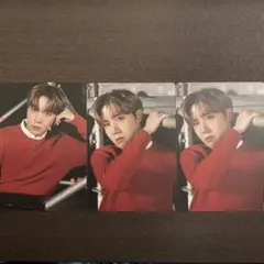 BTS MAP OF THE SOUL ONEMOS ミニフォト ホソク