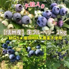明日7/26朝摘み当日発送 生ブルーベリー 2キロ - メルカリ