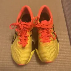 ASICS METASPEED SKY PARIS 23.0