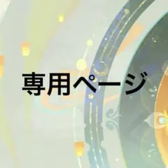 専用ページ
