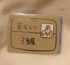 2025年最新】ちいかわ ヴァイスシュヴァルツ うさぎの人気アイテム