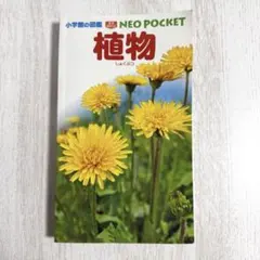 Item thumbnail for item 139dedbe-ca38-45af-b39a-56dab97bdf56