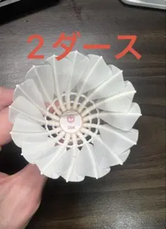 シャトル 2ダース バドミントン