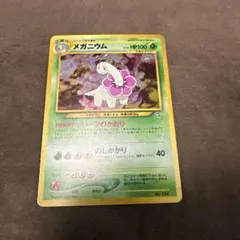 メガニウム_プレミアムファイル PROMO 第1世代 1996~1999 - メルカリ