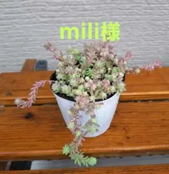 mili様 リクエスト 2点 まとめ商品