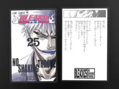 黒崎一護 キャラクターグッズ