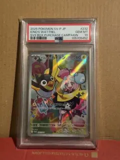 【即日発送】　PSA10 ポケモンカード　ナンジャモのカイデン　プロモ