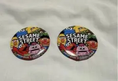 缶バッジ　ユニバーサルスタジオジャパン　USJ 限定　セサミストリート　2こ