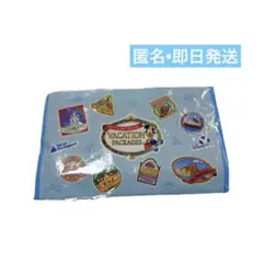 新品未使用　公式　ディズニー　バケパ　レジャーシート　3点セット　匿名　即日発送