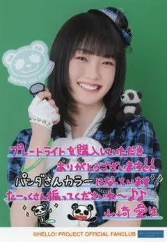 山﨑愛生 バースデーイベント プレートライト　ペンライト 山﨑愛生 バースデーイベント ペンライト - メルカリ