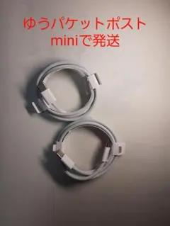新品純正品同等 USB Type-C to Type-C充電ケーブル 1m 2本