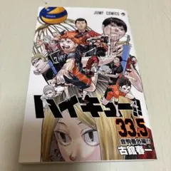 ハイキューゴミ捨て場の決戦　音駒番外編33.5巻