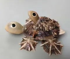 貝殻細工 カメの置物 親子