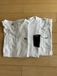 最終値下/メンズ　白Tシャツ　3枚まとめ売り
