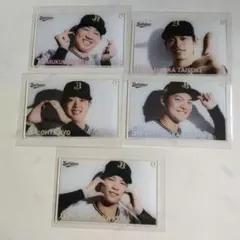 コロチャレC賞5点セット 山岡投手 太田選手 中川選手 椋木投手 山中選手