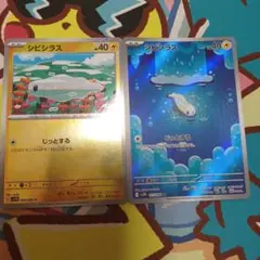 シビシラス AR　シビシラスモンボ