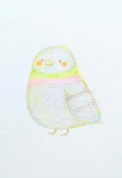 鳩 手描きイラスト 原画 一点物 ポストカード 色鉛筆画