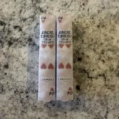 CANMAKE キャンメイク　アイカラーマジシャン 04 淡い予感　2本