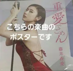 さよならを教えて 20周年トークライブ告知ポスター - メルカリ
