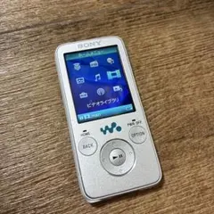 SONY Walkman NW-S638F 本体　コードありのサムネイル