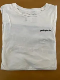 patagonia オーガニックコットン Tシャツ L