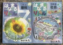 【美品】はなまるリトル　理科社会3年生　2冊セット