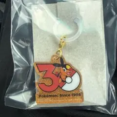 ポケモン 30周年 ロゴマスコット ポカブ