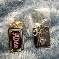 アリス イン ワンダーランド チャーム 2種 set