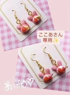 ここあさん専用✨〆3/14
