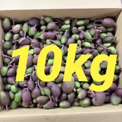 摘果マンゴー　16 kg　Size 23~158g 摘果マンゴー 約16Kg （※梱包を含む） - メルカリ
