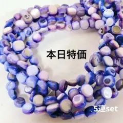 cp004/SALE！シェル◇丸っこいスクエア形　ブルーパープル5連set