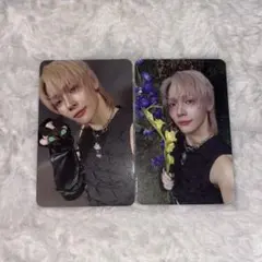 &team エンティーム Back to Life ROAR ニコラス トレカ