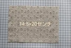 minaperhonen☆sun moss　レア！　ベージュ　大きめ