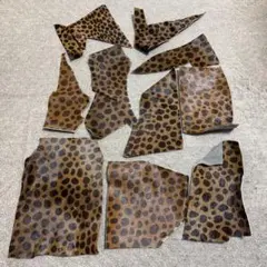 Item thumbnail for item bc8386b9-9f37-4a66-88bd-46bc09ebdb08