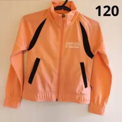 PUMA 　ジャージ　 120