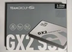 八7691【未使用品】TAME GROUP SSD GX2 256GB - メルカリ