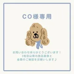 CO様 リクエスト 2点 まとめ商品