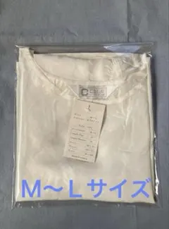 Item thumbnail for item 748b89f6-ace1-46b9-845e-703e4470ca09