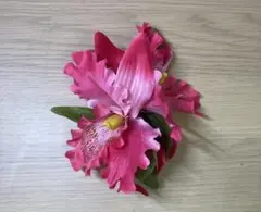 Item thumbnail for item 852c9ff9-8319-4c63-823f-5ddc5aa1d28f