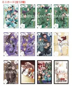 忍たま乱太郎　アニメイト　ミニカード　全12種　コンプリート　新品未使用