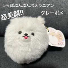 さたるぱ様 リクエスト 2点 まとめ商品