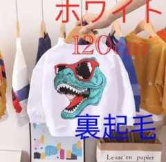 春秋冬用 裏起毛　キッズ 男の子 ドラゴン柄 トレーナー トップス ホワイト