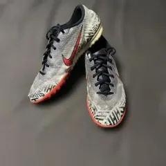 Item thumbnail for item 251153b3-10a8-4a18-ab36-df59b7df628e