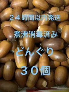 どんぐり　３０個