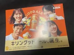 連休値下げ！最安値！グッドエール　B5ミセスグリーンアップルさん＆綾瀬さん