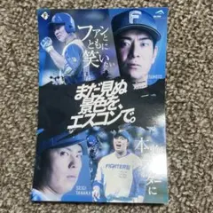 ファイターズ　松本剛　田中正義 まだ見ぬ景色を、エスコンで。ステッカー