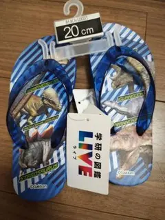 学研の図鑑LIVE　ビーチサンダル　恐竜