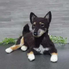 愛犬さんの羊毛フェルトオーダー ニャー☆プロフ必読様ご購入専用