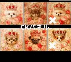 リクエストご確認用